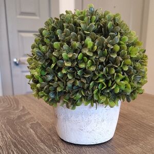 Lush Green Faux Plant in Elegant White Pot